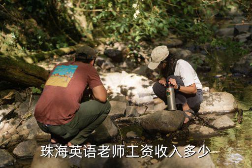 珠海辅导班老师的工资一般多少钱啊，现在珠海公办学校老师一个月工资大概多少