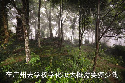 广州化妆摄影学校学费多少，在广州去学校学化妆大概需要多少钱
