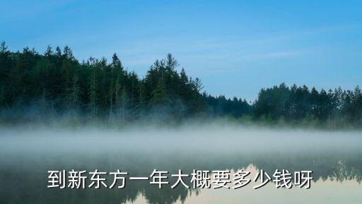 广西新东方学费多少，新东方学校在广西有没有两年制厨师班要多少学费