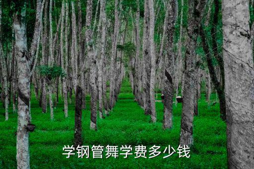 学钢管舞学费多少钱