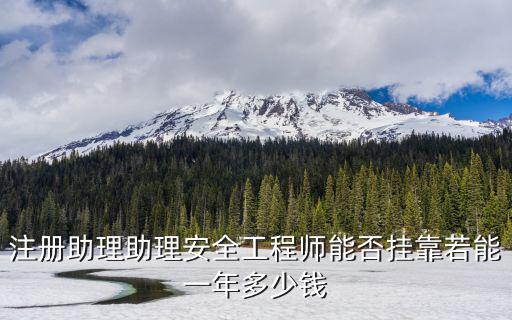 注册助理助理安全工程师能否挂靠若能一年多少钱
