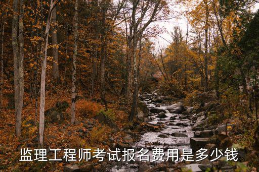 监理工程师考试报名费用是多少钱