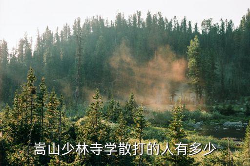 嵩山少林寺学散打的人有多少