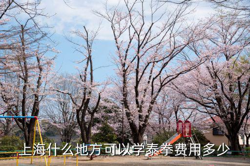 上海学泰拳多少钱，上海哪里有学习泰拳的什么价格