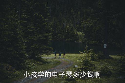 幼儿园电子琴课多少钱，请问一下现在教电子琴老师的价格多钱呀