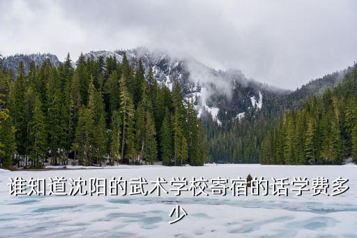 谁知道沈阳的武术学校寄宿的话学费多少