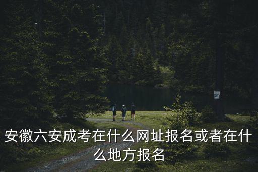 安徽六安成考在什么网址报名或者在什么地方报名