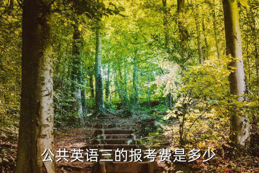 公共英语三的报考费是多少