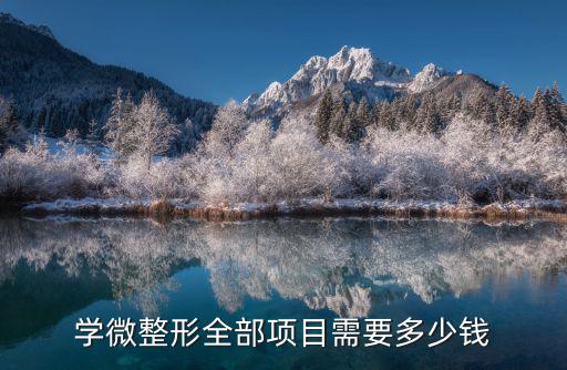 学微整形全部项目需要多少钱