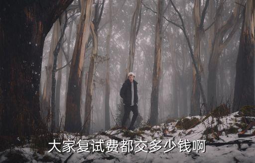 大家复试费都交多少钱啊