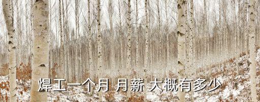 焊工一个月 月薪 大概有多少