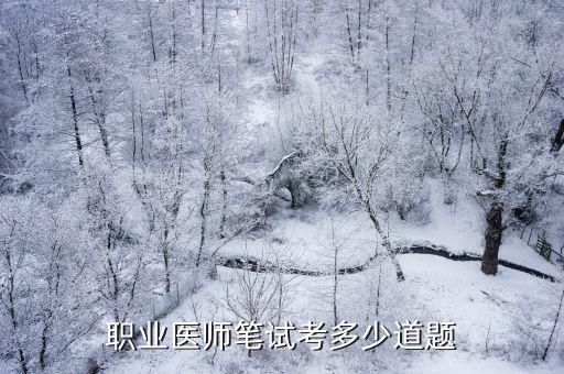 职业医师笔试考多少道题