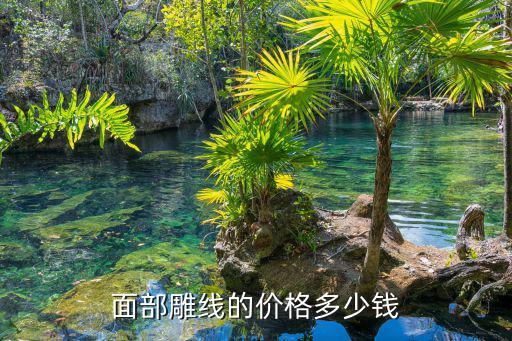 线雕线成本多少钱一个，线雕微整形价格表全脸线要多少钱
