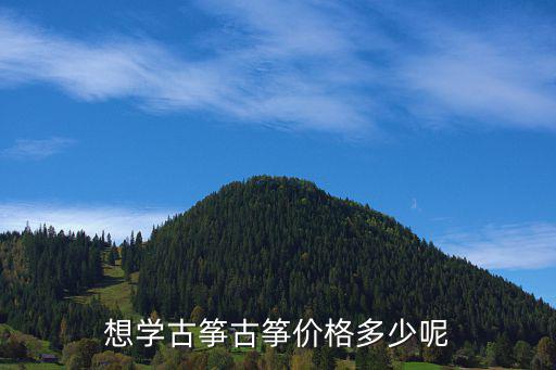 想学古筝古筝价格多少呢