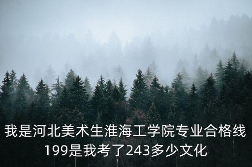 我是河北美术生淮海工学院专业合格线199是我考了243多少文化