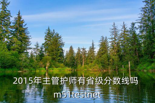 2015年主管护师有省级分数线吗 m51testnet