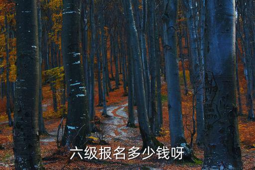 六级报名多少钱呀