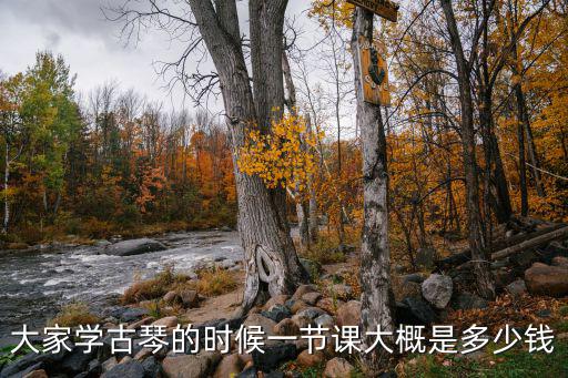 兰州古琴学费多少，大家学古琴的时候一节课大概是多少钱