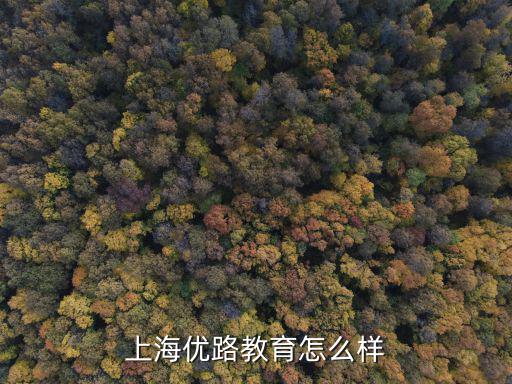 上海优路教育怎么样