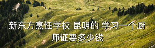 新东方烹饪学校 昆明的 学习一个厨师证要多少钱