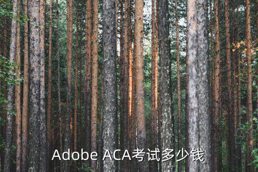 Adobe ACA考试多少钱