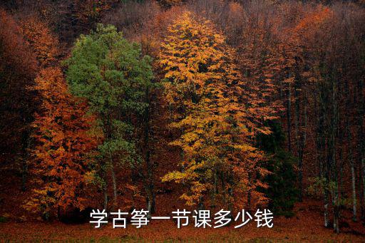 学古筝一节课多少钱