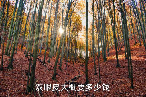 双眼皮大概要多少钱