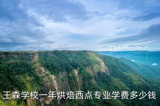 北京王森西点蛋糕培训学校学费多少，想去王森西点蛋糕培训学校不知道学费多少