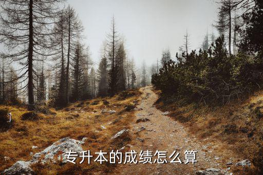 专升本的成绩怎么算