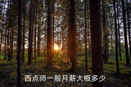 西点师一般月工资多少，西点师一般月薪大概多少