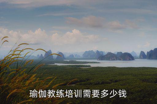 瑜伽教练培训需要多少钱