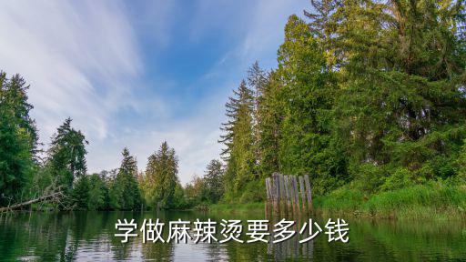 学做麻辣烫要多少钱
