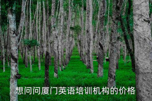 想问问厦门英语培训机构的价格