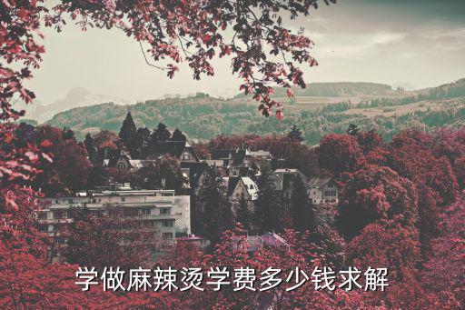 学做麻辣烫学费多少钱求解
