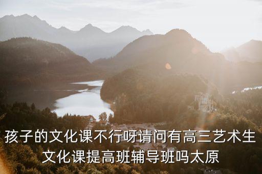 博鸿艺术生文化课补导多少钱，孩子的文化课不行呀请问有高三艺术生文化课提高班辅导班吗太原