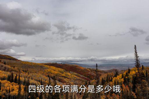 四级的各项满分是多少哦