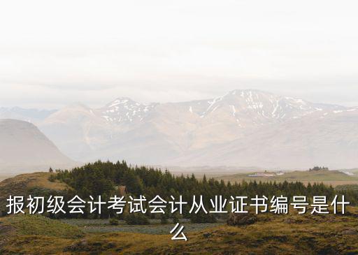 报初级会计考试会计从业证书编号是什么