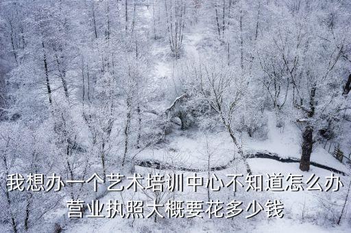 我想办一个艺术培训中心不知道怎么办营业执照大概要花多少钱
