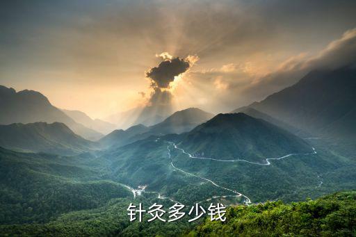 在南阳针灸多少钱一次，针灸一般多少钱一次