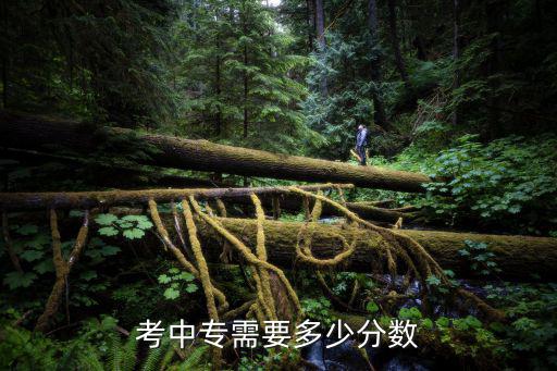 河北商贸学校需要多少分上中专，河北经贸最低多少分可以进专科也行