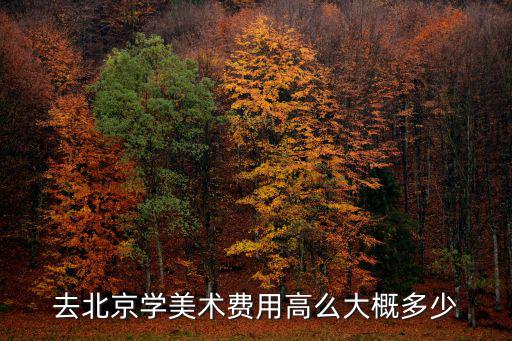 儿童  画画  多少钱   北京，孩子学简笔画要多少钱