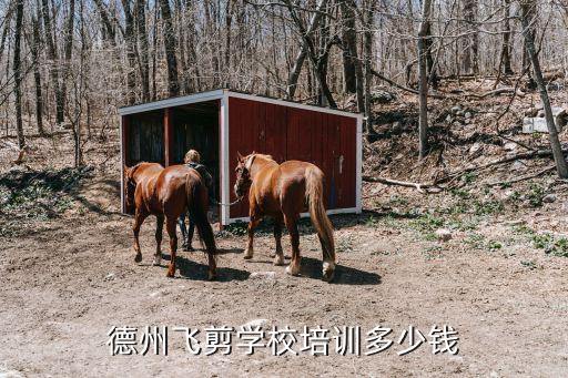 德州飞剪学校培训多少钱