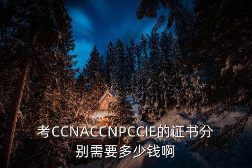 ccnp证书多少钱，考一个CCNP证书需要花多少钱