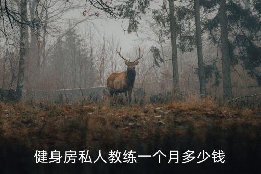 健身房私人教练一个月多少钱