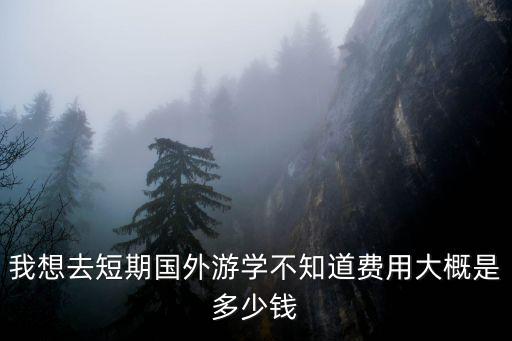 出国短期游学要多少钱，短期国际游学费用是多少