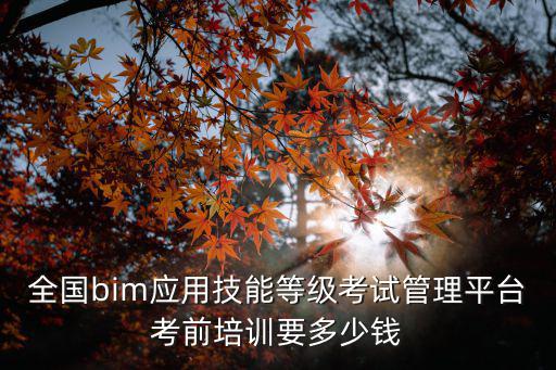全国bim应用技能等级考试管理平台考前培训要多少钱