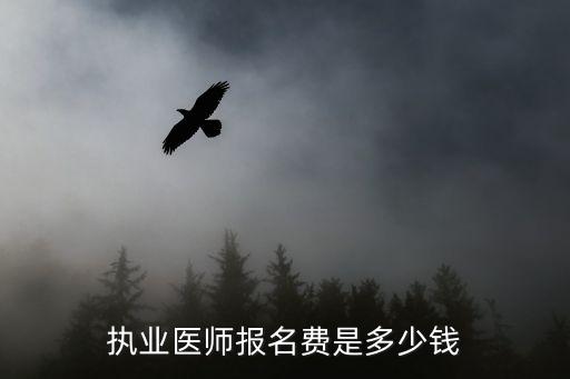 执业医师报名费是多少钱