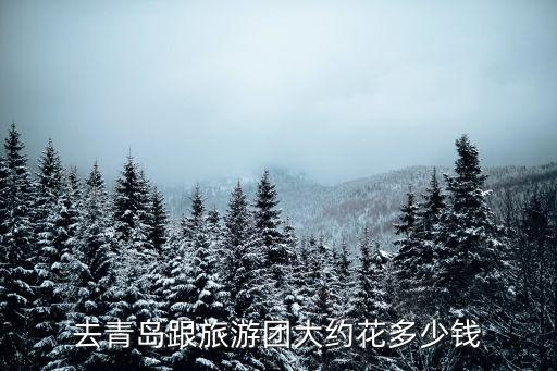 去青岛跟旅游团大约花多少钱
