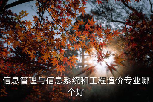 信息管理与信息系统和工程造价专业哪个好