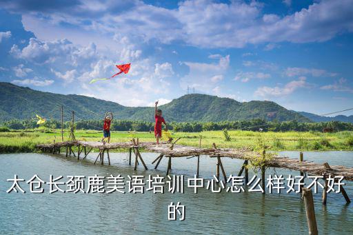 太仓长颈鹿美语培训中心怎么样好不好的